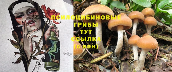 кокаин премиум Инсар