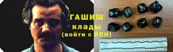 мет Инта
