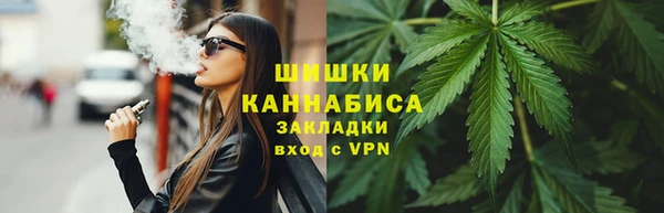 мет Инта