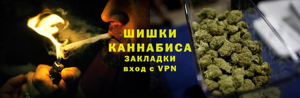 мет Инта