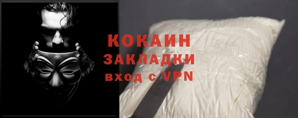 мет Инта
