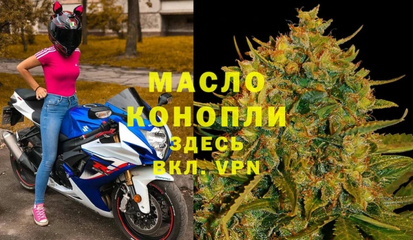 мет Инта