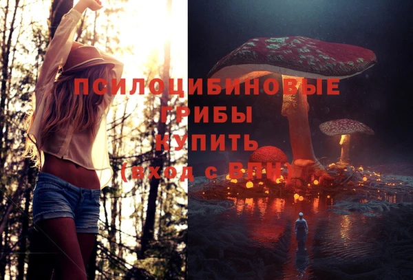 мет Инта