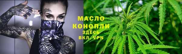 мет Инта